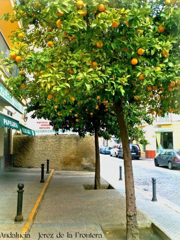 Al Andalus Jerez Hotel Jerez de la Frontera Luaran gambar