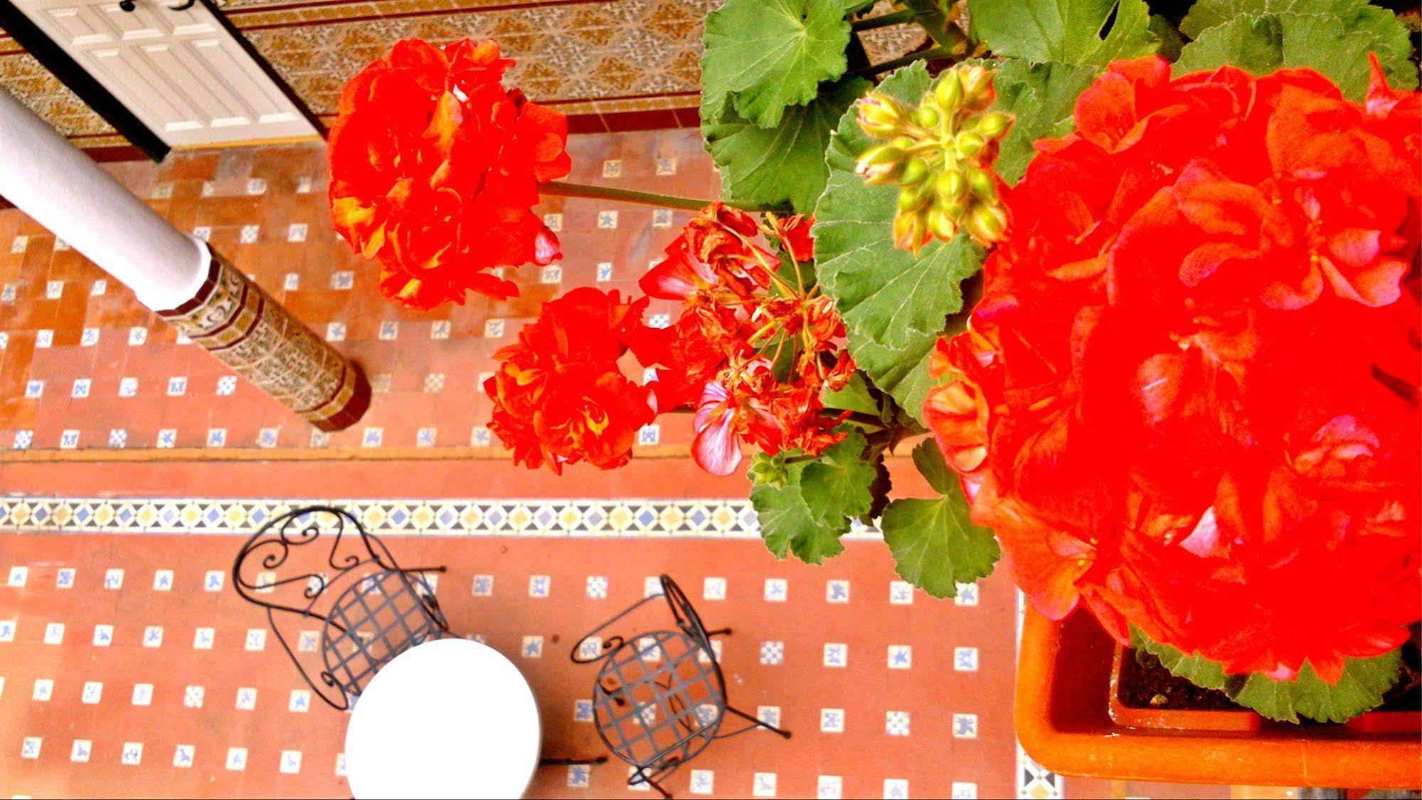 Al Andalus Jerez Hotel Jerez de la Frontera Luaran gambar